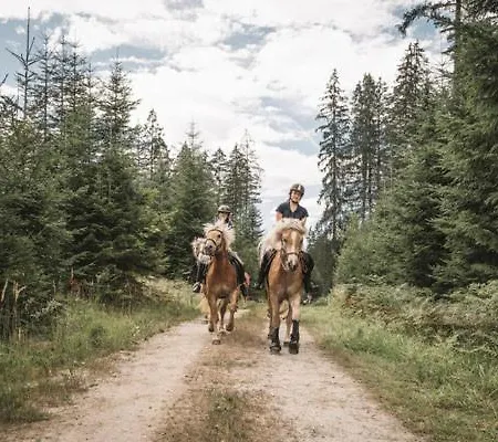 Holiday home Urige Hutte Im Nationalpark Gesause *