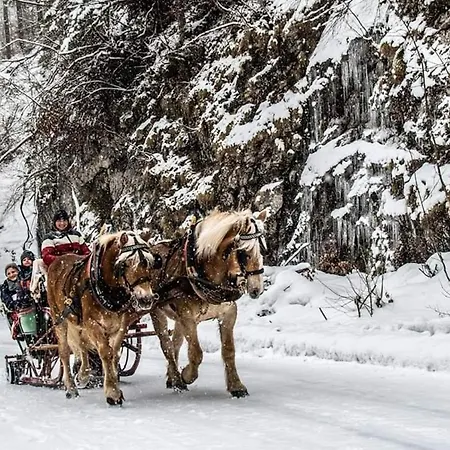 Holiday home Urige Hutte Im Nationalpark Gesause Gams bei Hieflau